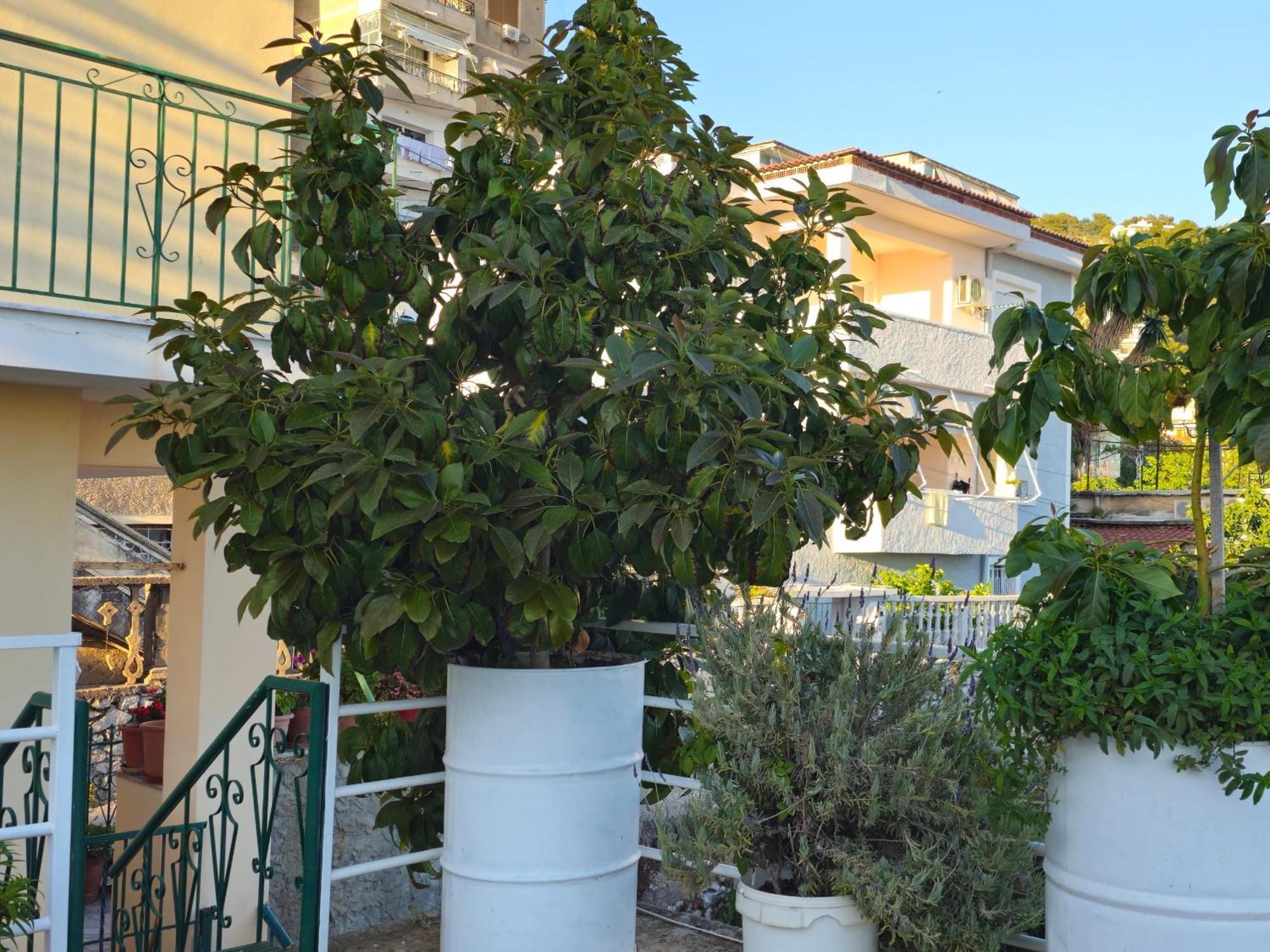 Joen Apartments Sarandë 外观 照片