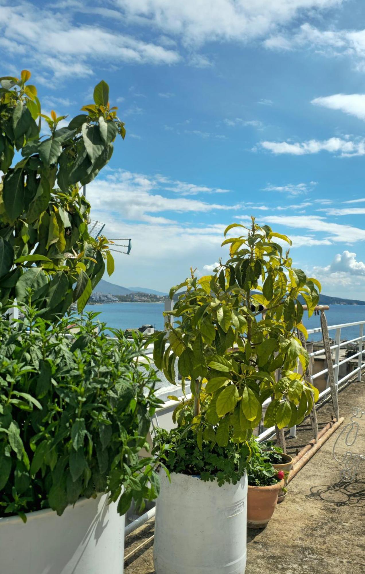 Joen Apartments Sarandë 外观 照片