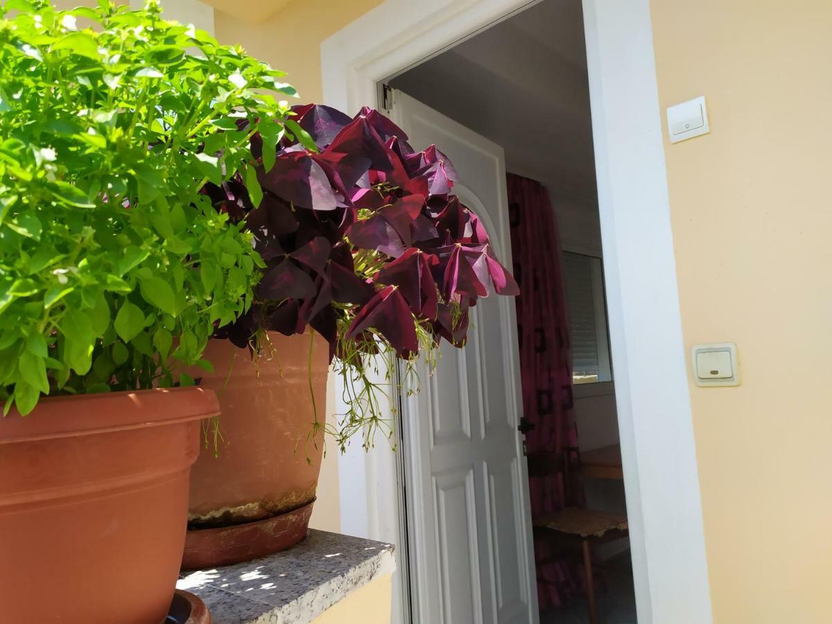 Joen Apartments Sarandë 外观 照片